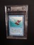 Flying Men BGS 8.5 NM-MT+ Arabian Nights MTG Magic Graded Card